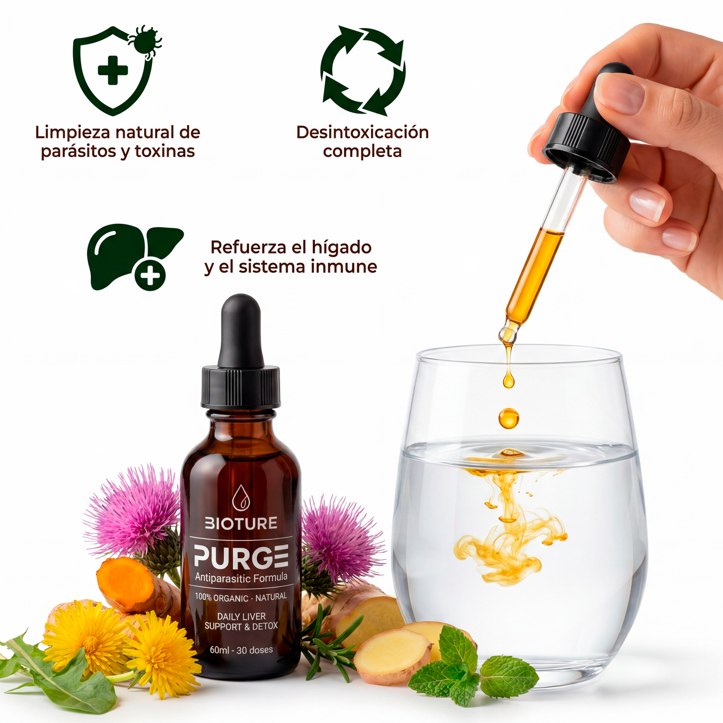 PURGE™ — Fórmula Antiparasitaria natural (Elimina los parásitos intestinales en 21 días)