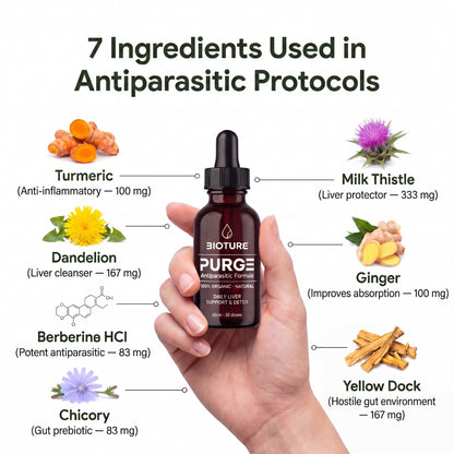 PURGE™ — Natural Antiparasitic Formula (Clear Intestinal Parasites in 21 Days)