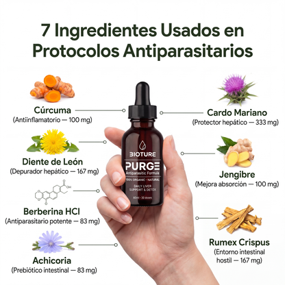 PURGE™ — Fórmula Antiparasitaria natural (Elimina los parásitos intestinales en 21 días)